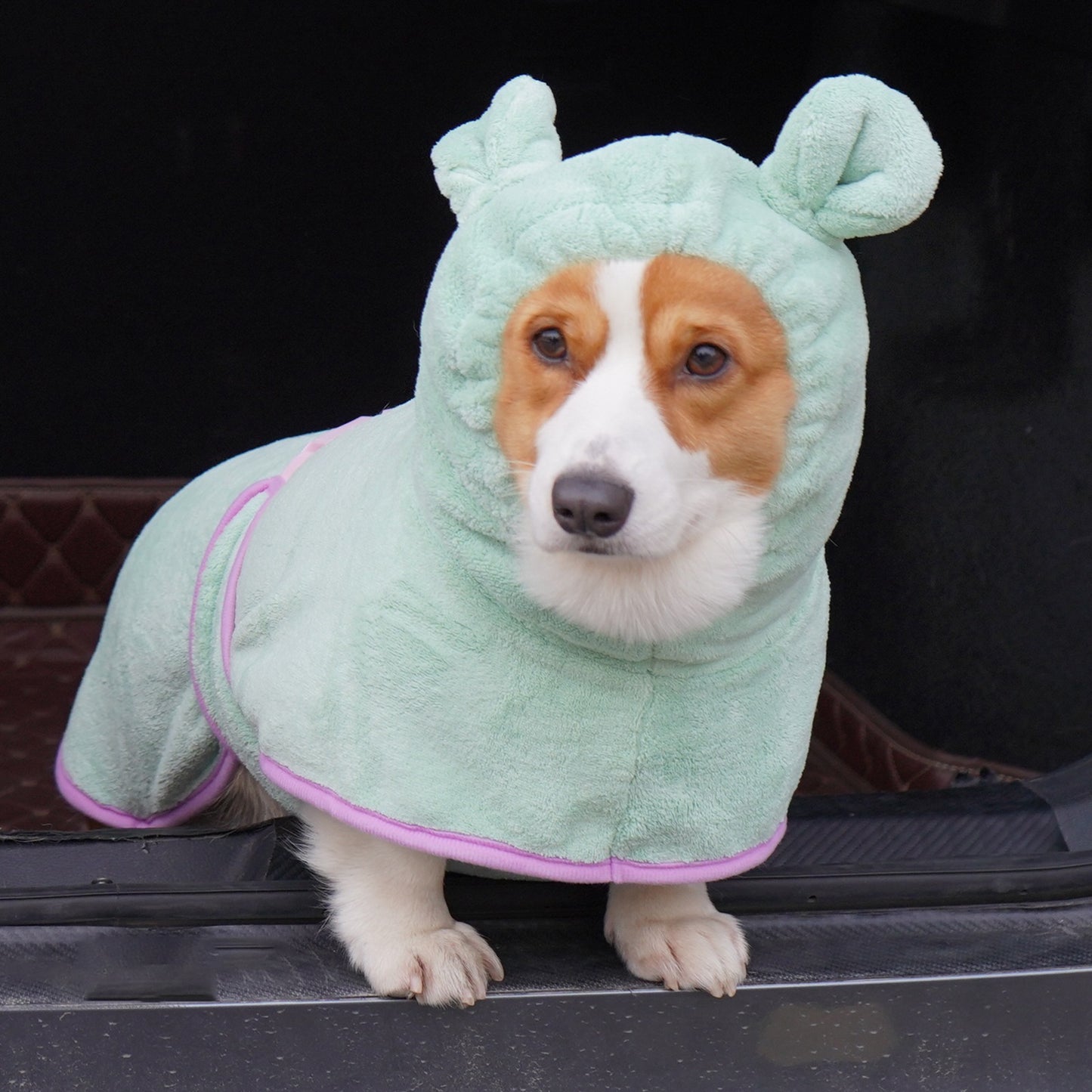 Green Hooded Dog Bathrobe - Super Absorbent, Adjustable Fit, Cozy Pet Towel (Size : M)