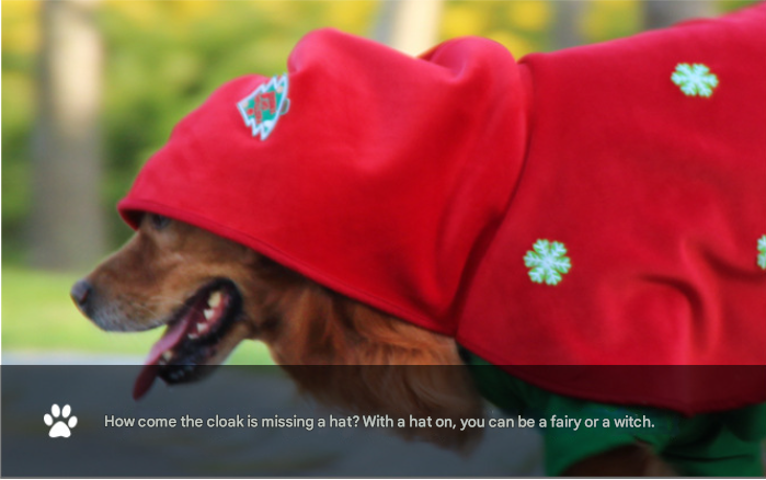 Christmas Dog Costume - Festive Hooded Cape & Green Jumpsuit Outfit (Size : 5XL)