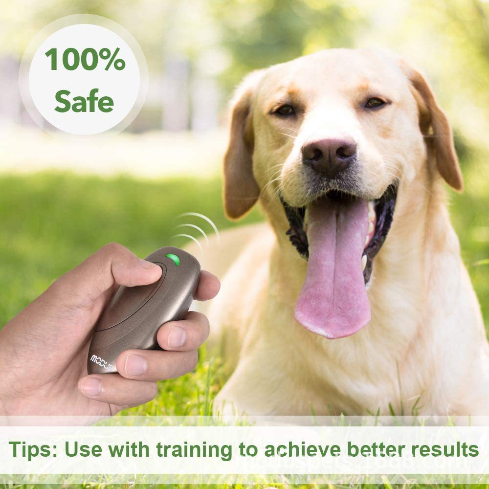 Ultrasonic Dog Bark Control & Training Aid - Handheld Anti-Barking Device, 100% Safe with Low Battery Indicator(Gray)