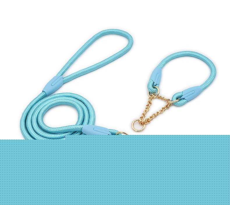 Blue Durable Nylon P-Collar Dog Training Set - Heavy Duty Leash & Martingale Collar (Size : XL)