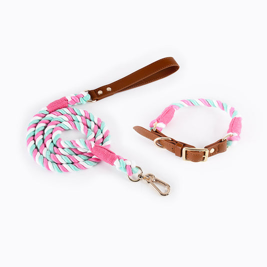 Premium Leather Pet Collar and Leash - Soft, Strong Braided Rope (Pink green - Size L)