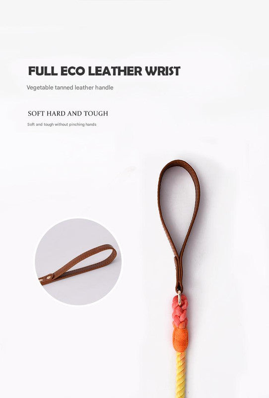 Premium Leather Pet Collar and Leash - Soft, Strong Braided Rope (Pink green - Size L)