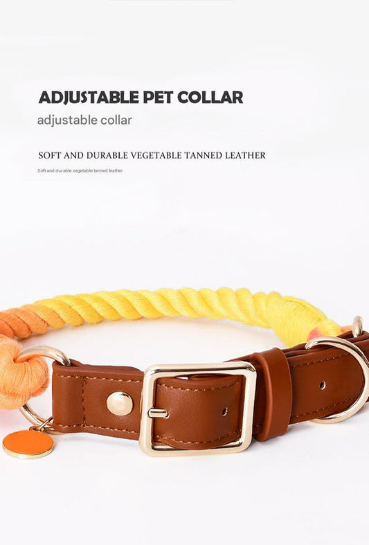 Premium Leather Pet Collar and Leash - Soft, Strong Braided Rope (Honey orange - Size S)
