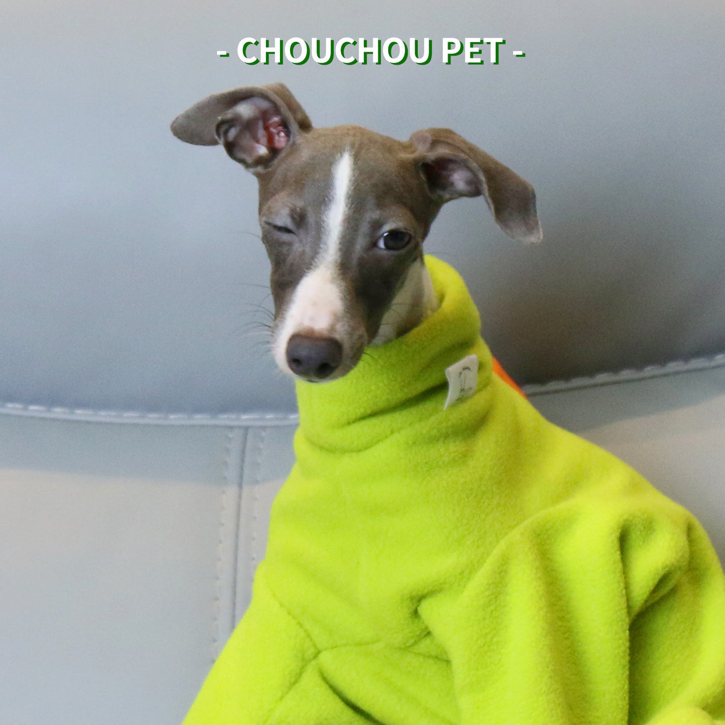 XXXL Adorable Dinosaur Fleece Dog Jumpsuit - Warm Winter Pajamas for Whippets & Italian Greyhounds