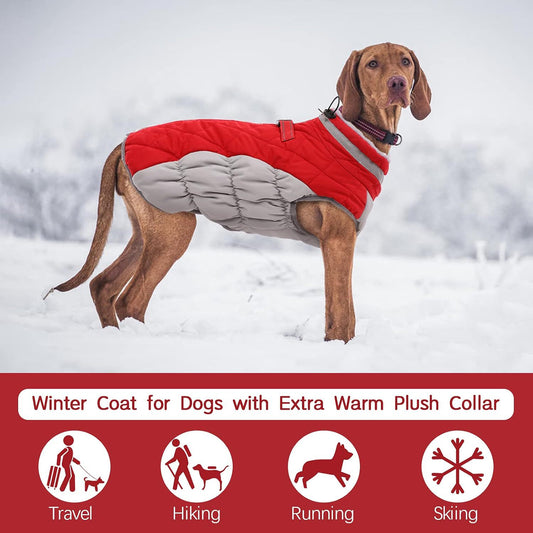 M Red Grey Premium Winter Puffer Dog Coat - Windproof & Fleece-Lined Jacket for Cold Weather