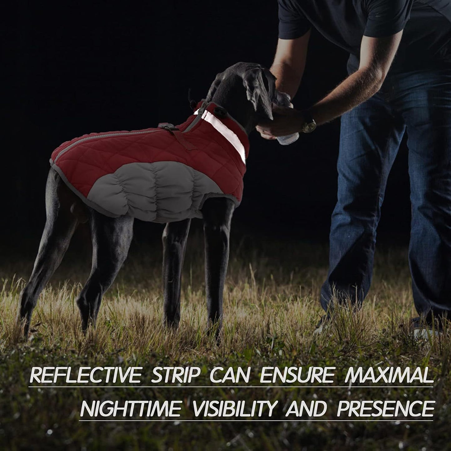 M Red Grey Premium Winter Puffer Dog Coat - Windproof & Fleece-Lined Jacket for Cold Weather