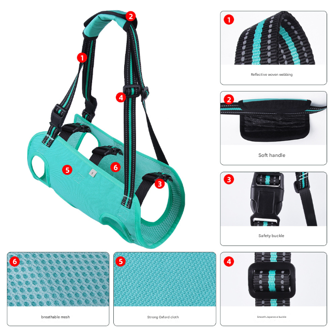 Green Pet Support Harness for Senior and Disabled Dogs - Adjustable Chest and Back Support Leash(Size M)