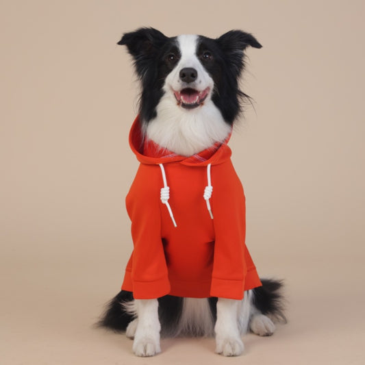 Orange Classic Dog Sweatshirt with Hood & Drawstrings - For Large Dogs (Size : 3XL)