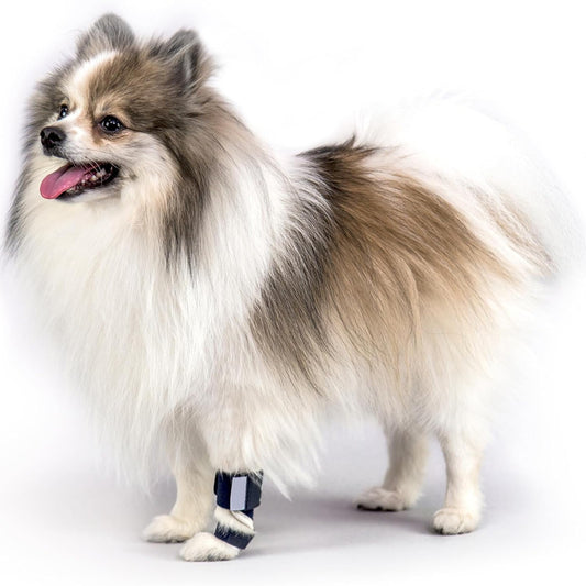 3 Pcs Size L Dark Blue Supportive Dog Leg Brace - Adjustable Carpal/Tarsal Splint for Injury & Arthritis Relief