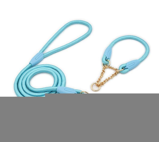 Blue Durable Nylon P-Collar Dog Training Set - Heavy Duty Leash & Martingale Collar (Size : XL)