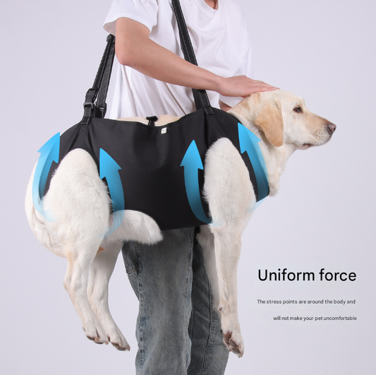 Green Pet Support Harness for Senior and Disabled Dogs - Adjustable Chest and Back Support Leash(Size M)